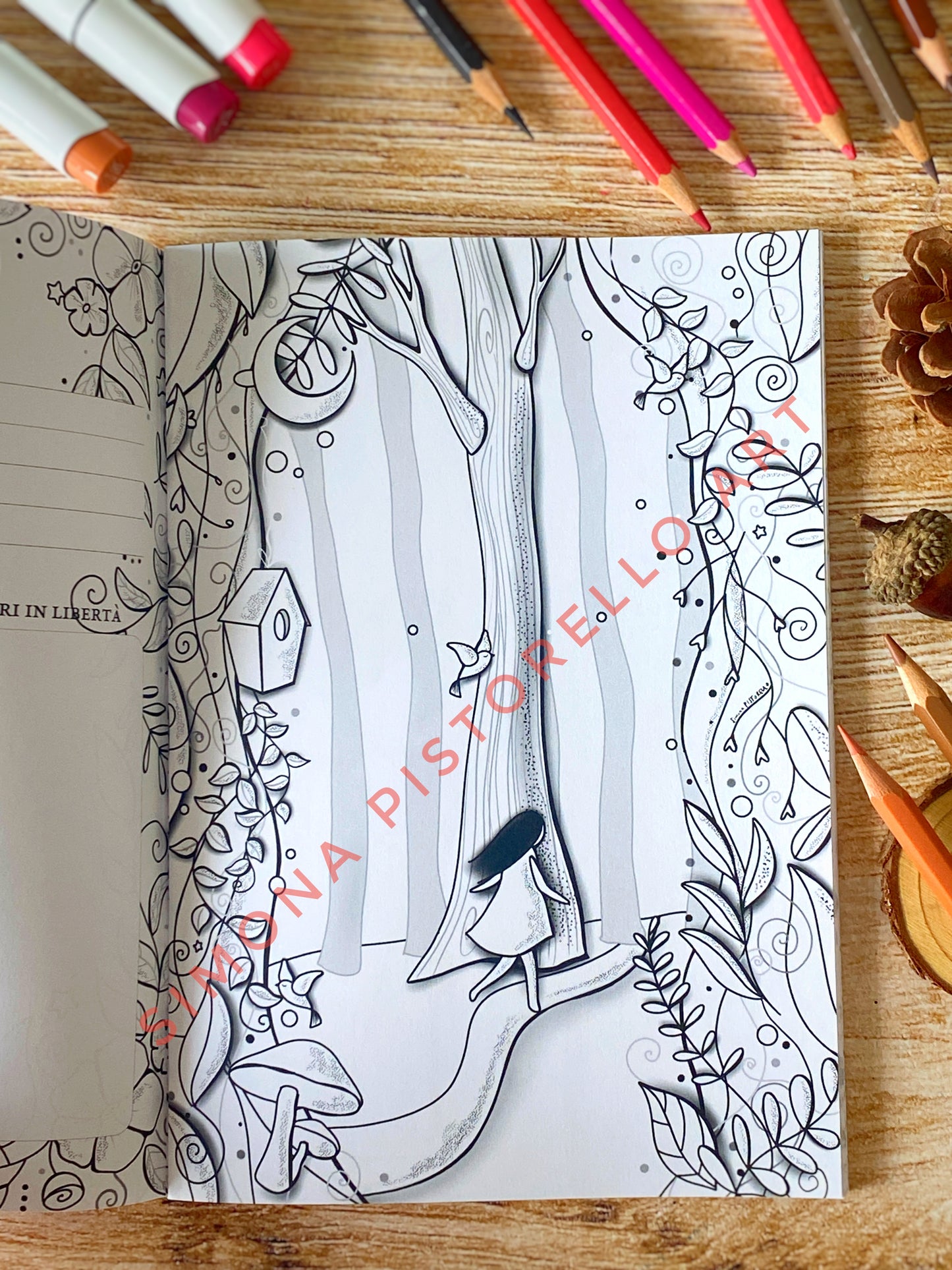 Colouring Diary "Un passo alla volta"