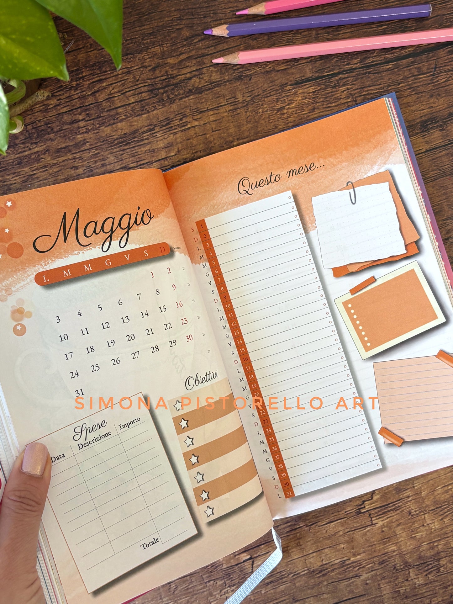 BUNDLE Agenda Creativa 🍬 CARAMELLA