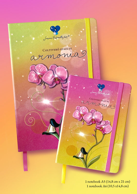 Bundle 2 Notebook (A5 e A6) - Armonia