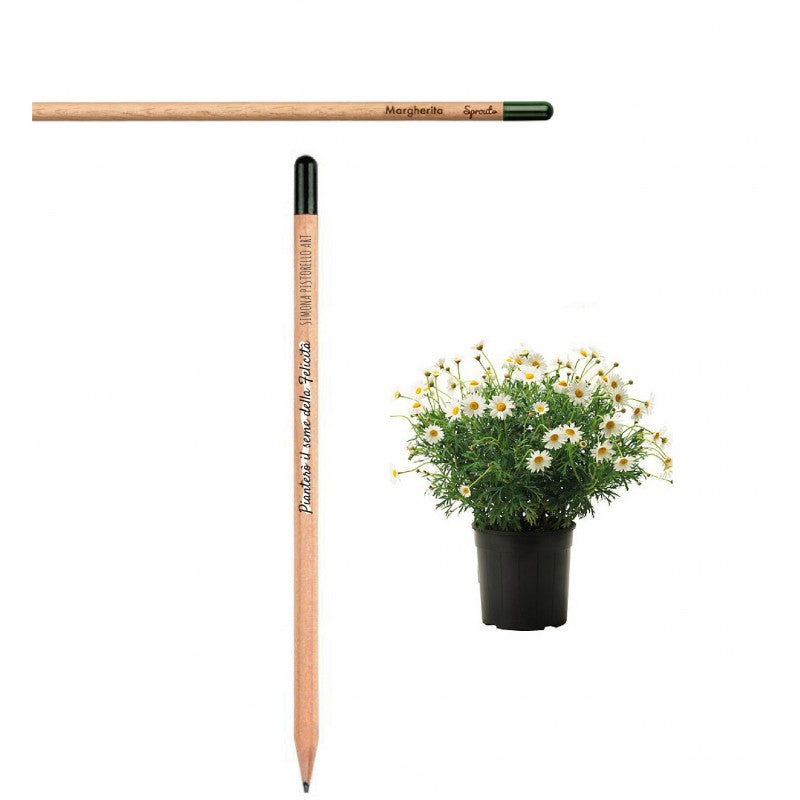Matita Sprout - Piantabile - Margherita